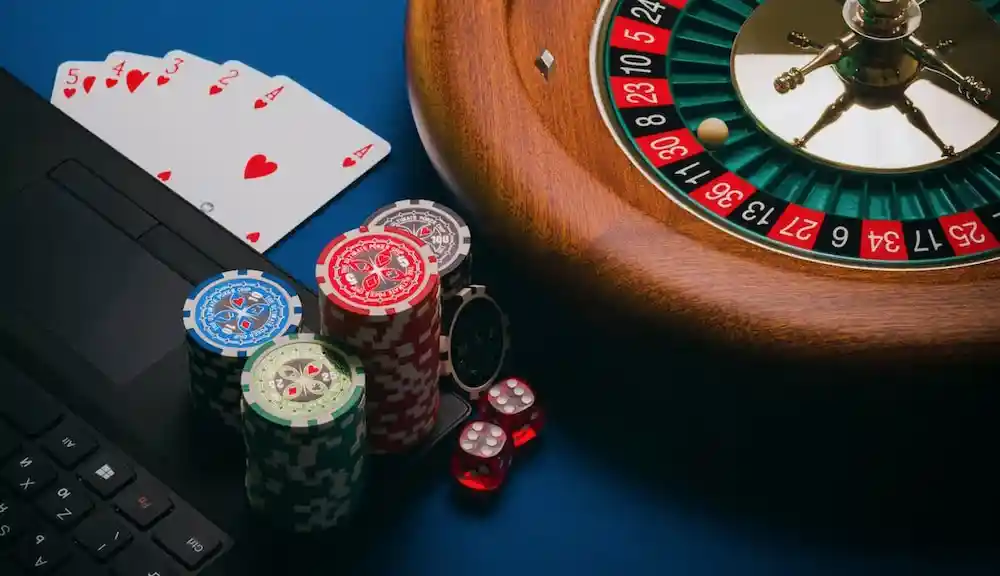 seedsard slot